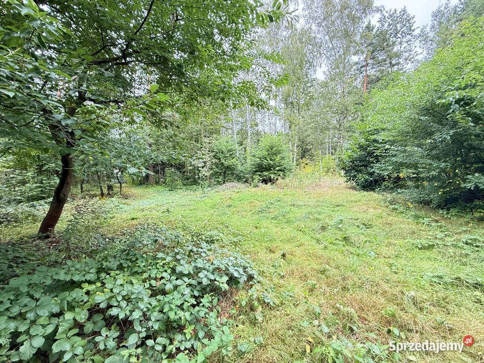 Działka budowlana w Rosanowie wz pozwolenie na Rosanów