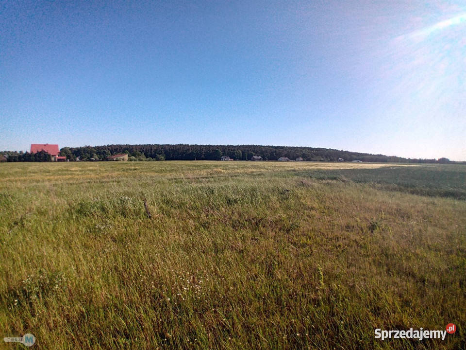 Dom wolnostojący do sprzedania 70m2 Bałtów