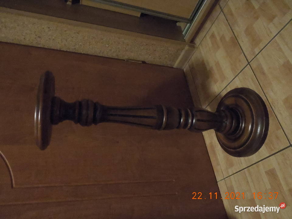 kwietnik antyczny Częstochowa