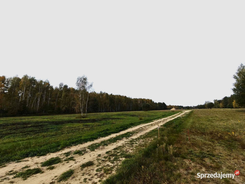 Działka budowlana 1020m2 Wilków Polski