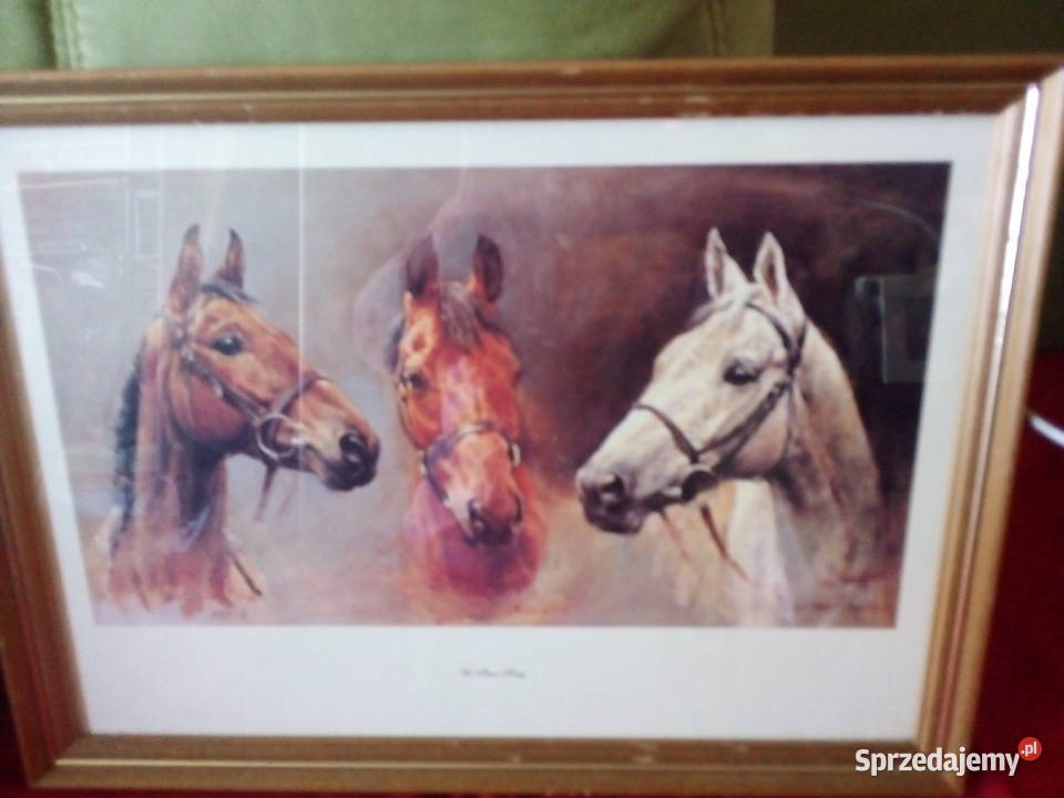 Wyprzedaż gospodarstwa domowego