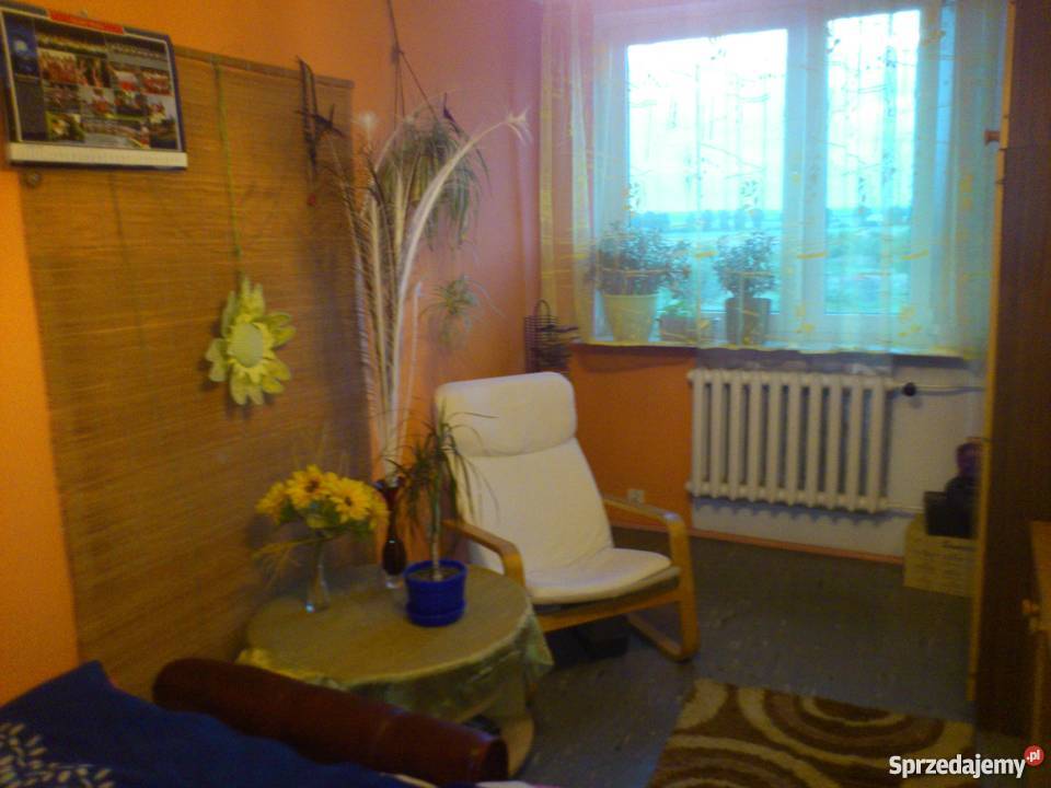 mieszkanie koło Ciechocinka Rok budowy 1977 Mieszkania sprzedam