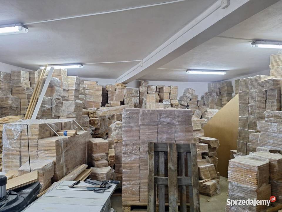 Parkiet Wyprzeda Magazynowa Zima 2025 Dzikowiec