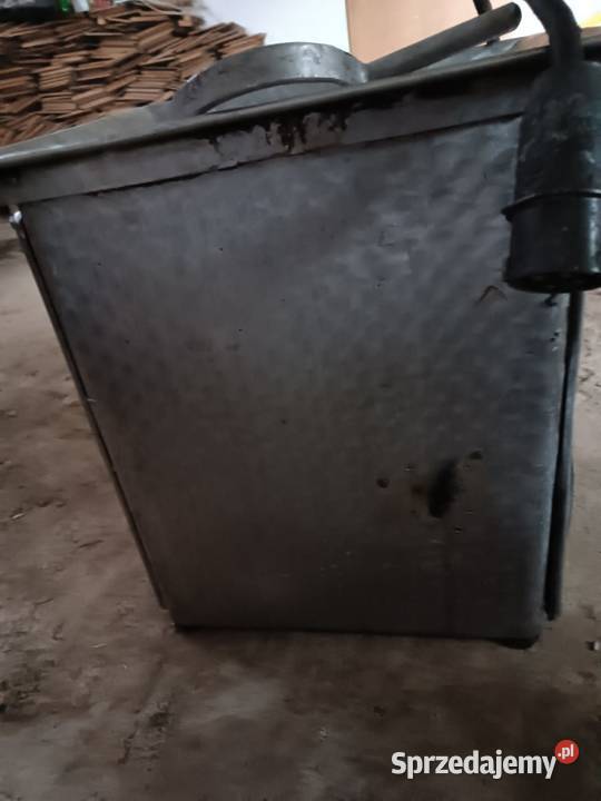 Wilk do mięsa Gałęzów