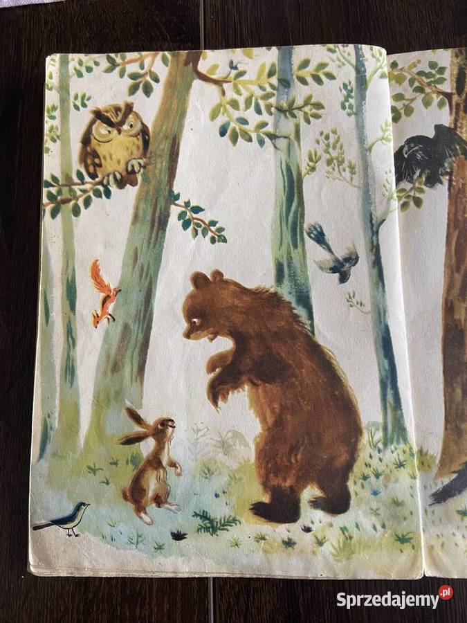 Tajemniczy Kajecik Bohdan Drozdowski ilustrował sprzedam