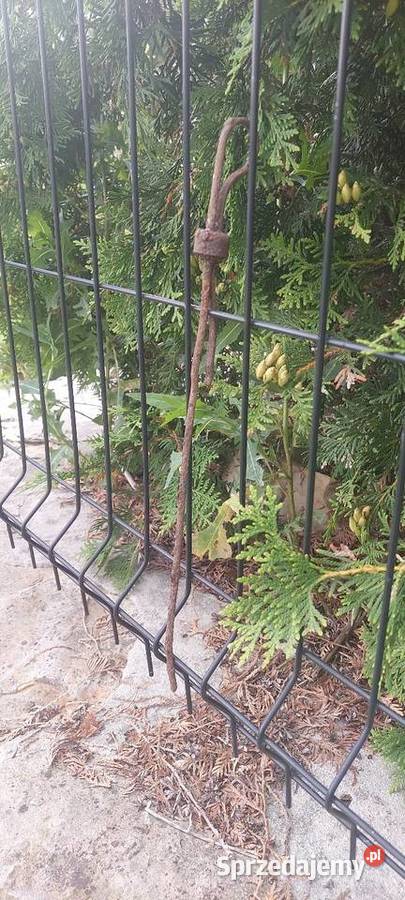 Bagnet do sprawdzania oleju z cięrzarówki Starachowice sprzedam