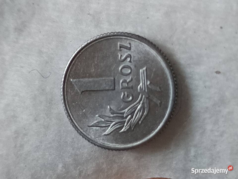 Sprzedam monetę 1 groszy 1949 lubelskie Chełm