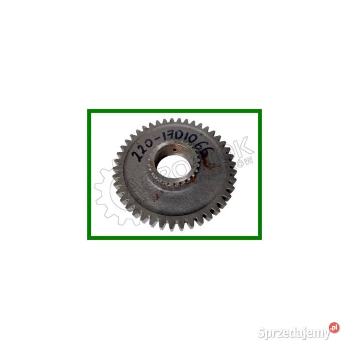 Koło zębate skrzyni mtz 320 Parczew