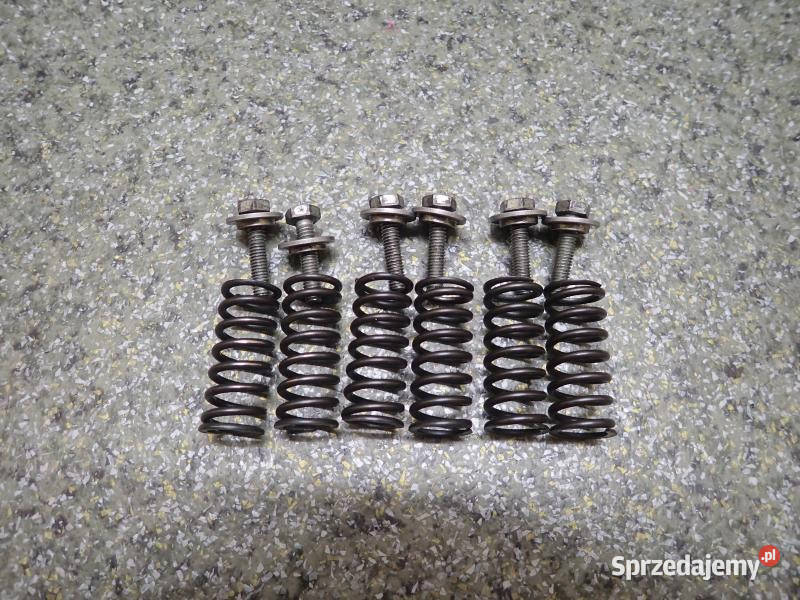 SPRĘŻYNY ŚRUBKI KOSZA SPRZĘGŁA HUSABERG FE 600 Strzelce Krajeńskie sprzedam
