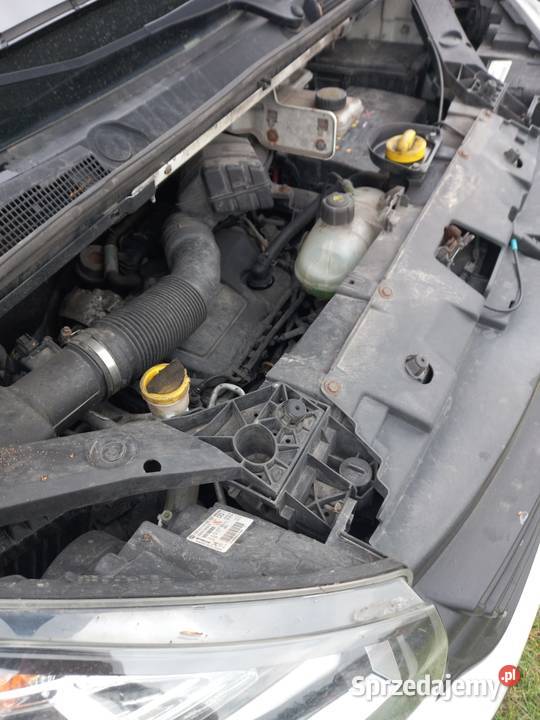 Renault trafic Renault