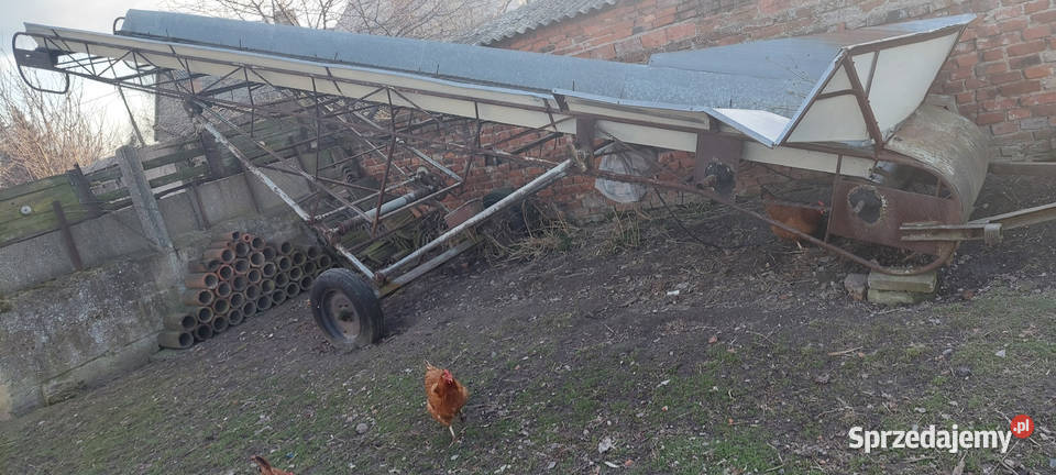Stertnik Pozostałe Izbiczno