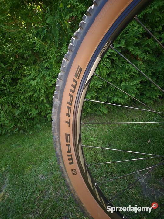 Rower MTB Focus Whistler 39 dolnośląskie Twardogóra