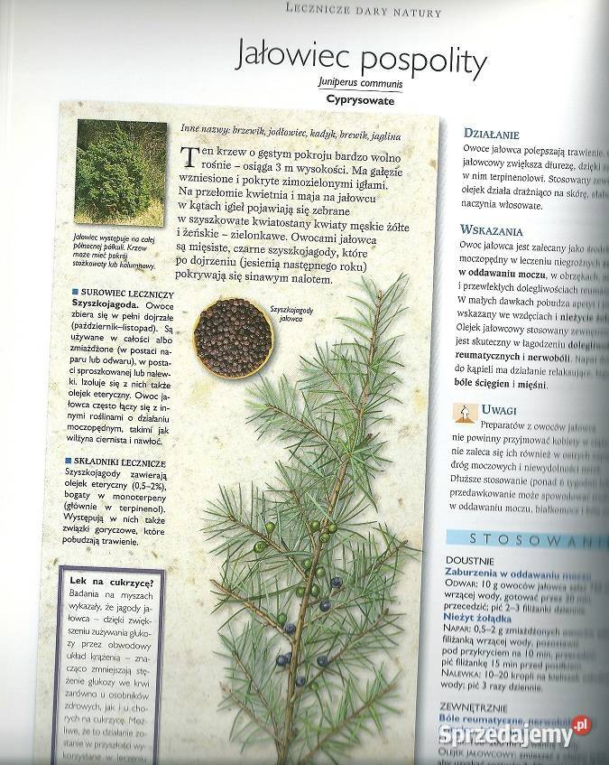 Bądź zdrów smacznego Gumowska Lecznicze dary Łódź