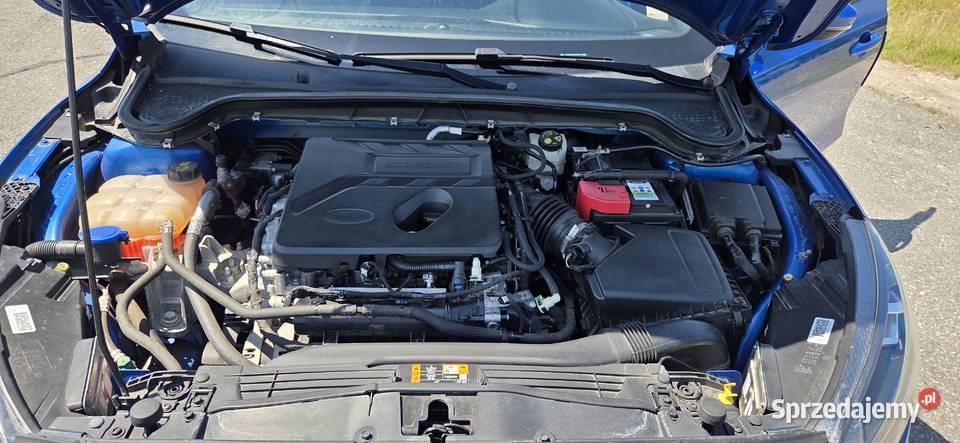 2019 Ford Focus mk4 15 ecoboost 182 opolskie Opole