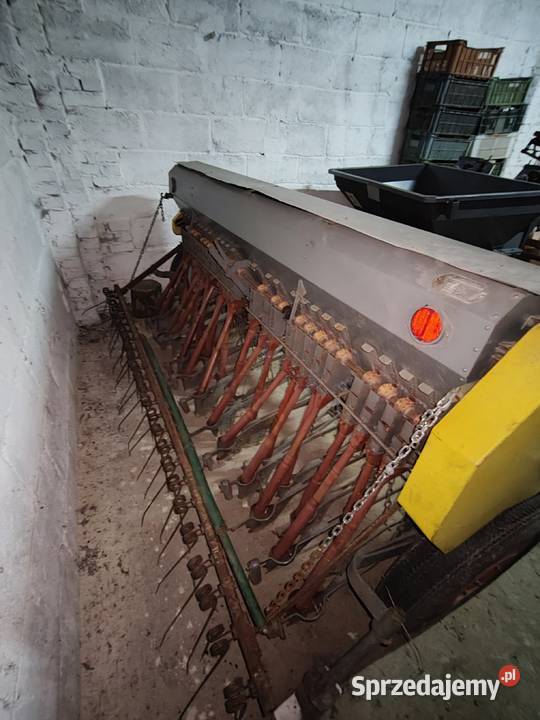 Siewnik poznaniak nieuszkodzony