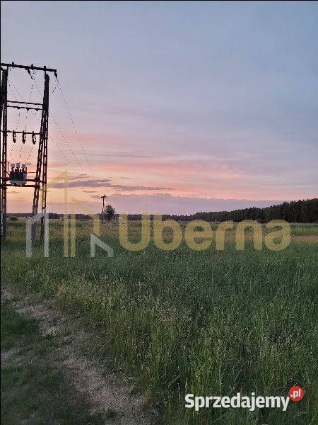 Działka Lubczyna