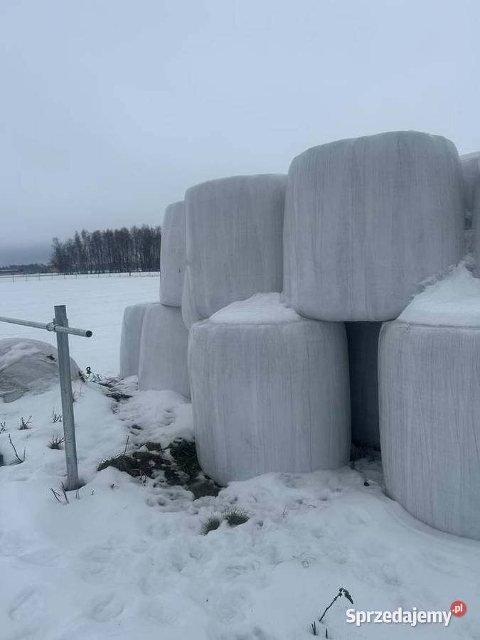 Bele Sianokiszonki Kuzie