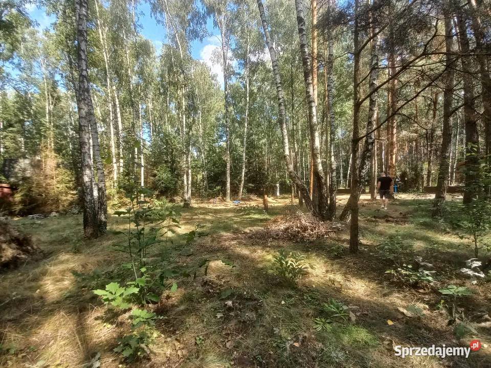 Działka budowlana Łodzi w sercu lasu łódzkie Dobków