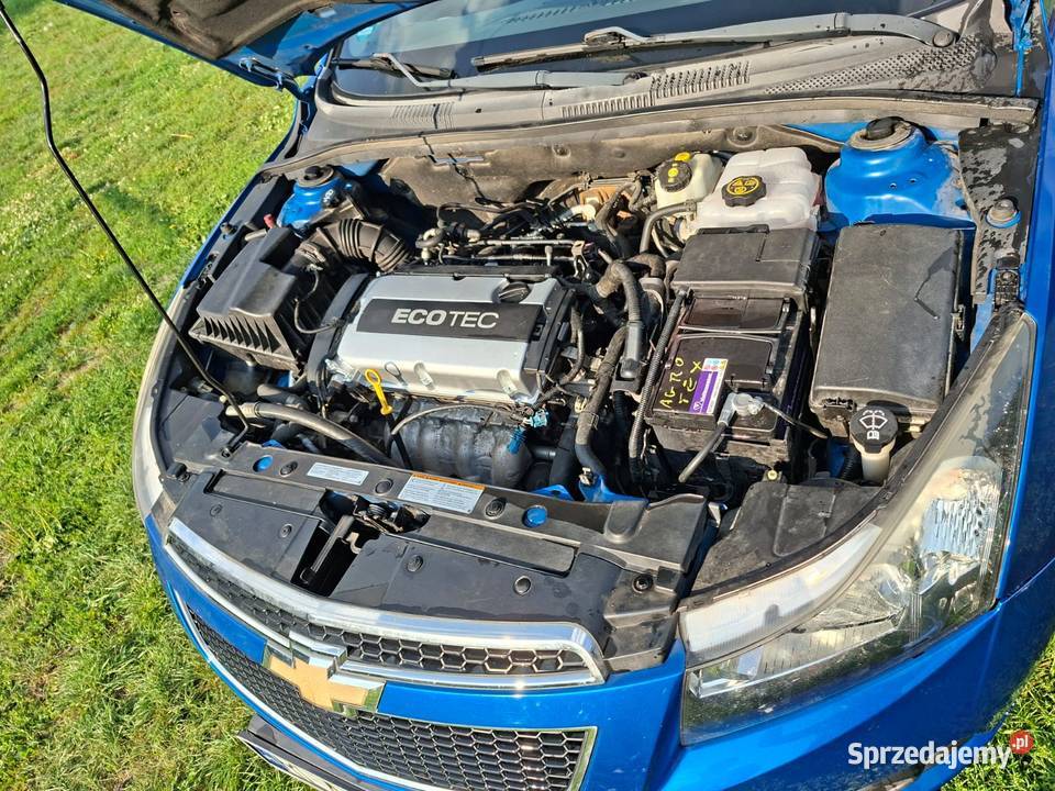 Cruze 18 lt Pieniany