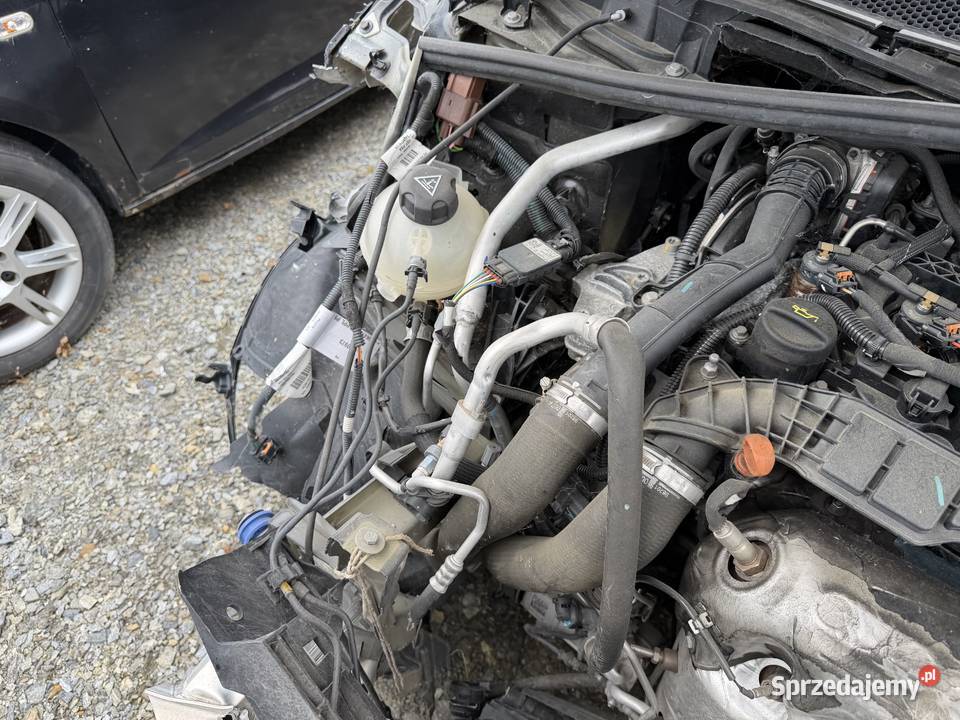 Peugeot 3008 BlueHDi 130 StopStart EAT8 Allure Rok produkcji 2021 opolskie Prudnik