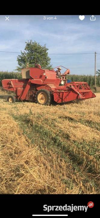 Massey Ferguson 86 dolnośląskie Żmigród