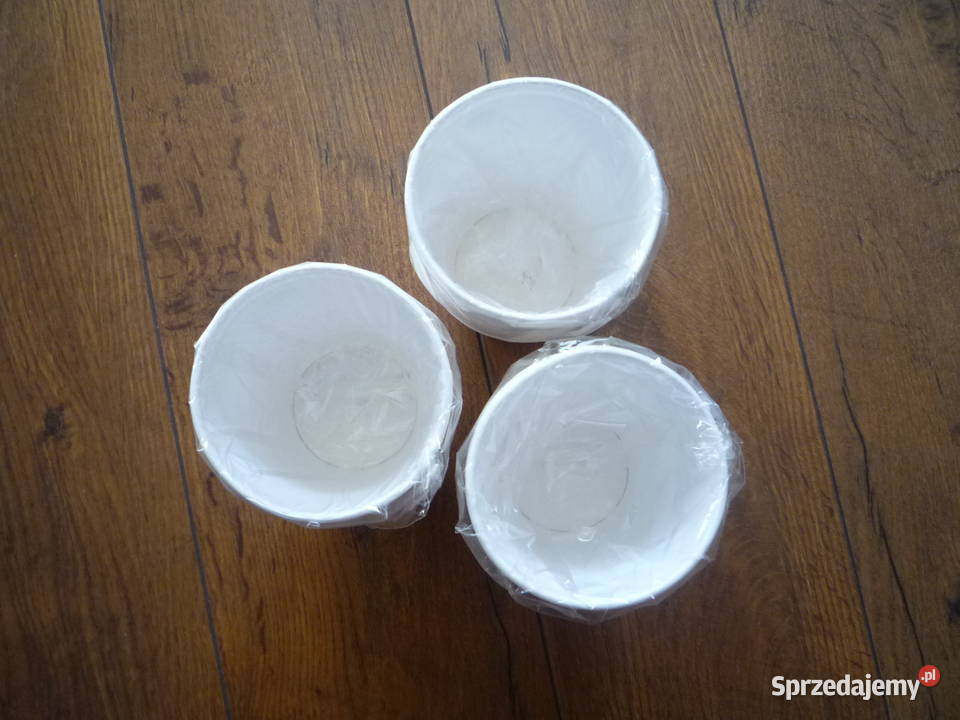 24 sztuki Arpex Kubki papierowe 200ml Fresh wielokolorowy Szczecin