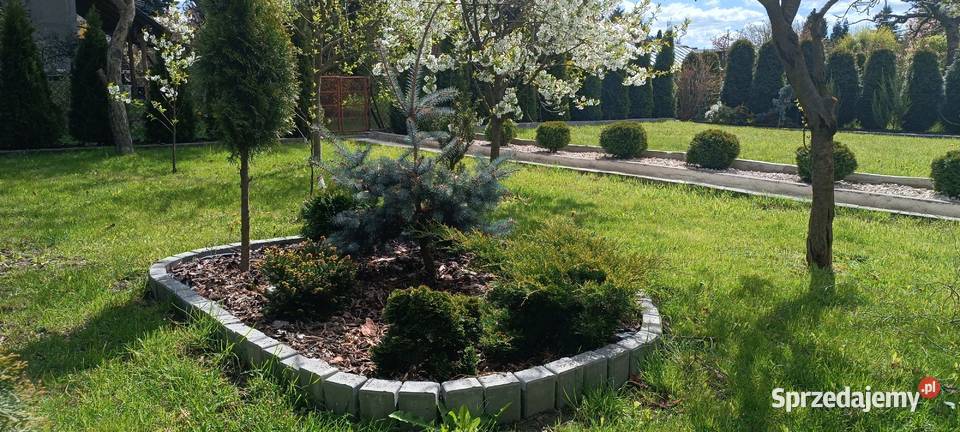 Działka rekreacyjna ROD Piotrków Trybunalski