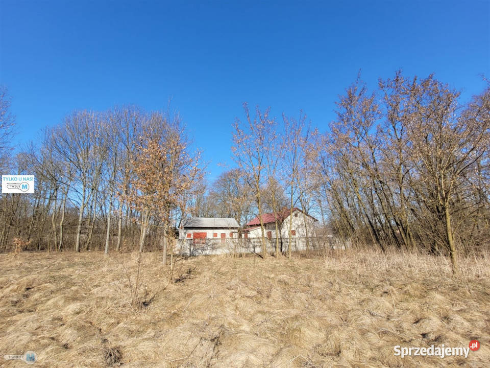 Dom wolnostojący 60m2 Nagłowice sprzedam