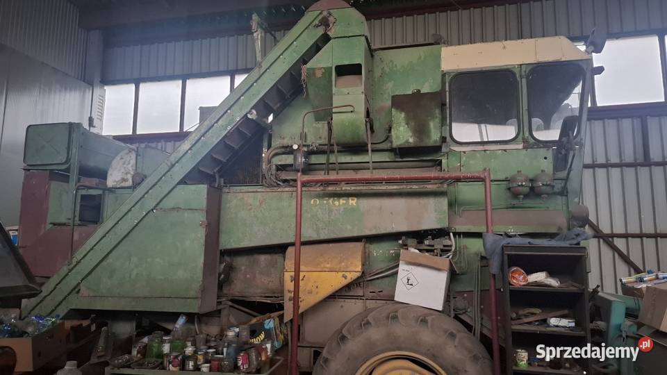 Kombajn do fasolki szparagowej Ploeger Do ziemniaków i warzyw Mogilno sprzedam
