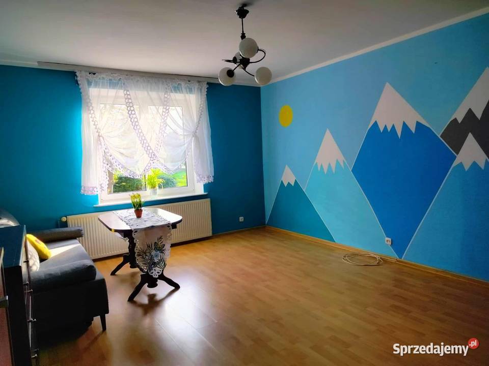 Mieszkanie na sprzedaż 562 m2 Centrum Olsztynka kamienica Olsztynek sprzedam