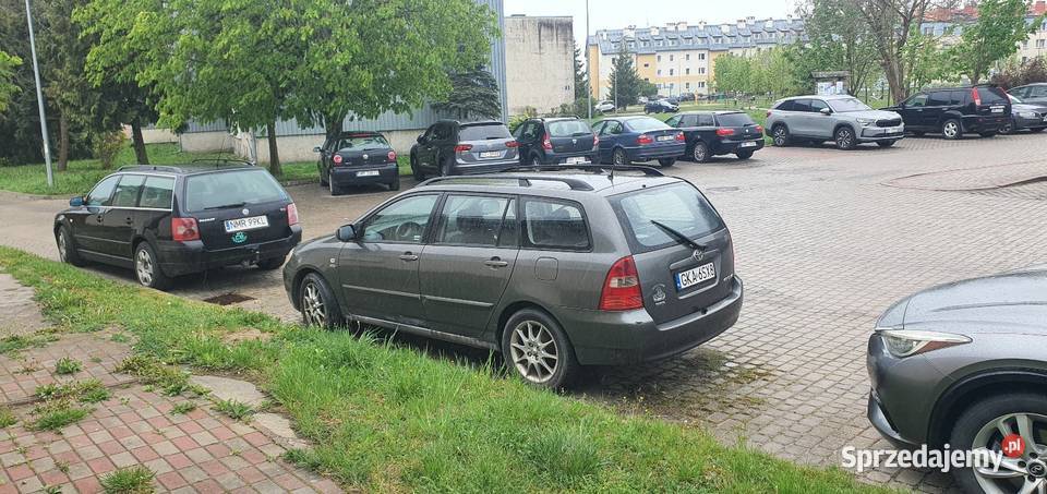 20 D4D kombi Baic Mrągowo