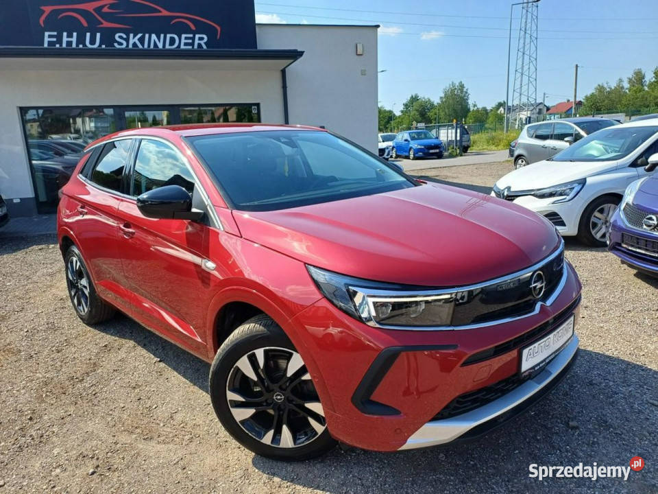 Opel Grandland X LIFTBezwypadkowyKAMERANavi1 wielofunkcyjna kierownica Chrzanów