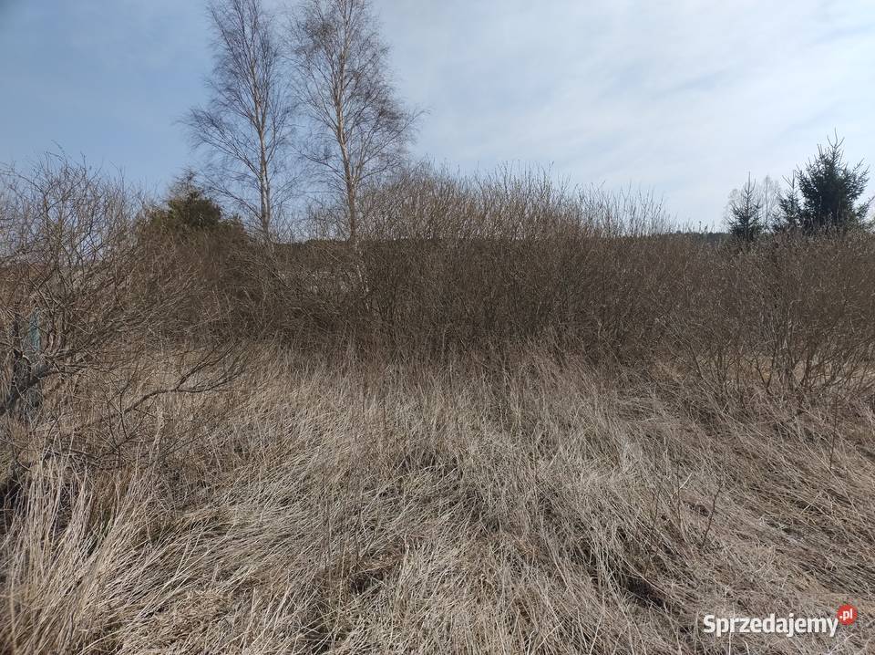 działka rekreacyjna 500m2 morzem Karwia