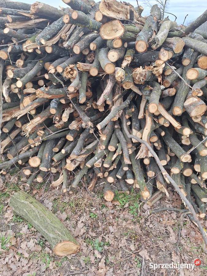 Drewno drzewo opałowe JABŁOŃ DĄB Grójec sprzedam
