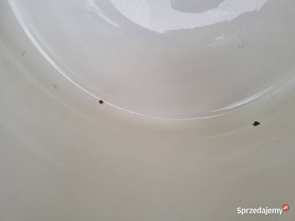 Garnek 2530 litrów śląskie sprzedam