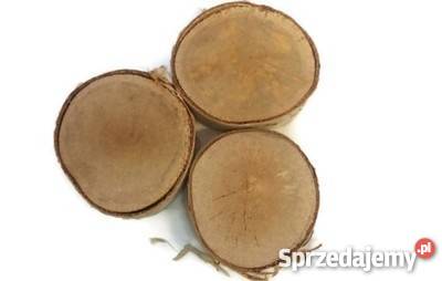 NAJTANIEJ plastry drewniane brzoza 610 gr 2 Rybnik