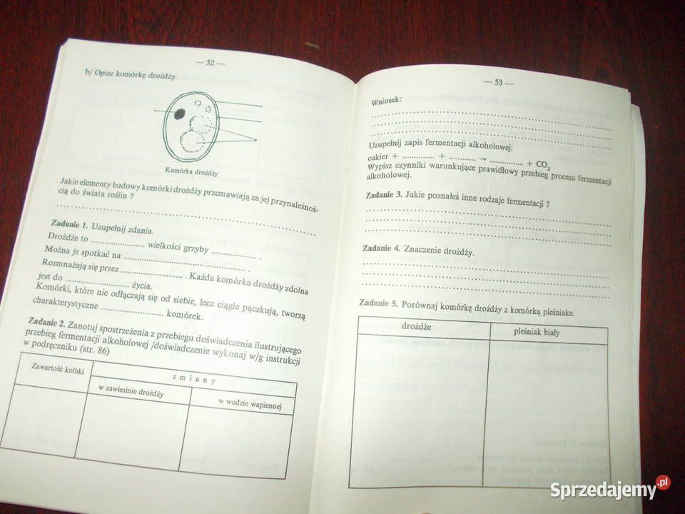 klasa 5 zeszyt cwiczek z biologii z 1992 roku podkarpackie Stalowa Wola