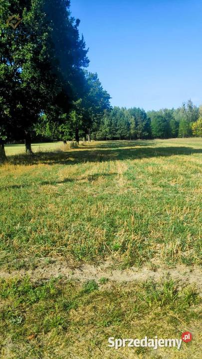 Sprzedam działkę budowlaną w Lasocinie 127m Sprzedaż sprzedam