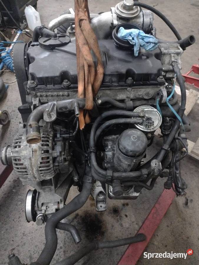 Silnik pasat b5 polift AVF na części Rok produkcji 2004 Nowy Sącz