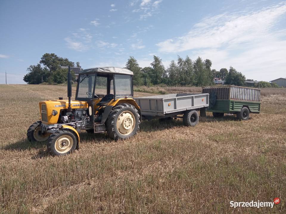 Ursus C330 Filice