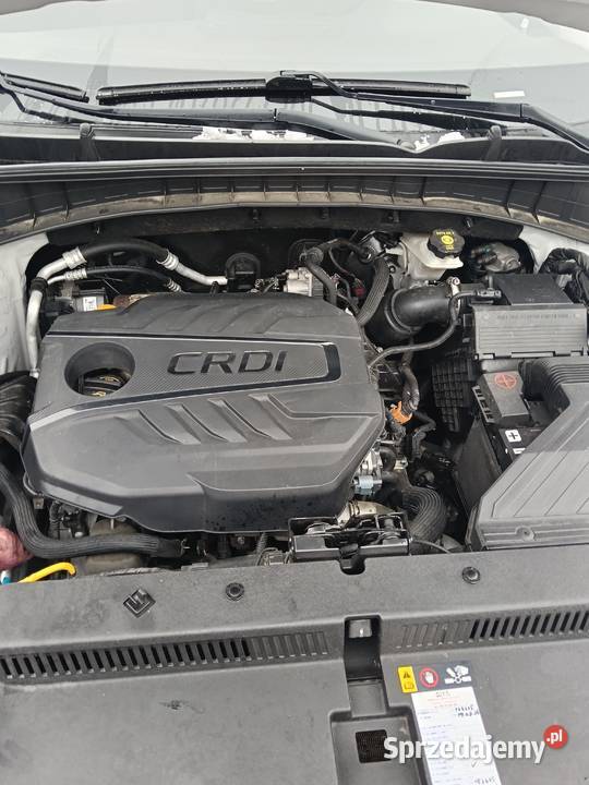 Hyundai Tucson 16 crdi 48 V 2019116