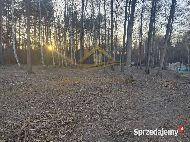 Sprzedaż gruntu AdamówWieś 4173m2 Sprzedaż Adamów-Wieś