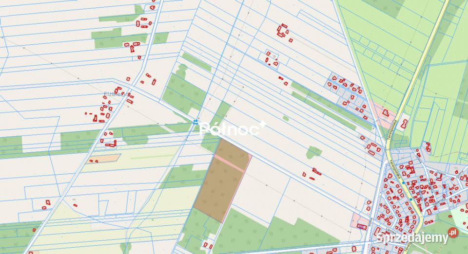 Działka leśna 447 Ha w Elżbiecinie gmina Kodeń Elżbiecin