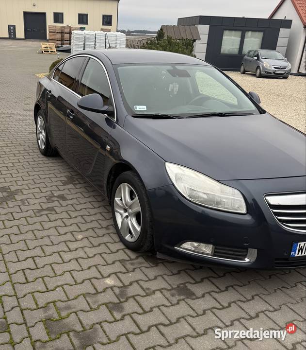 Opel Insignia Przytyk