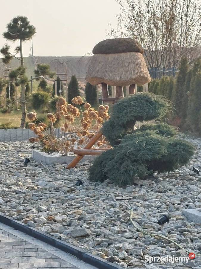 Altana pokryta trzciną pełna zabudowa Podlesie