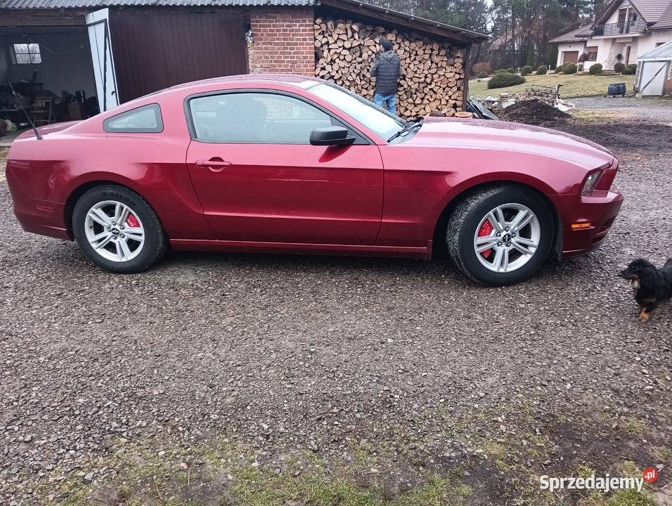 Ford Mustang 3 7 benzyna 2014 Krasnystaw
