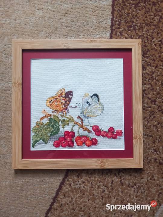 Obrazki z owadami Nowy Dwór Gdański