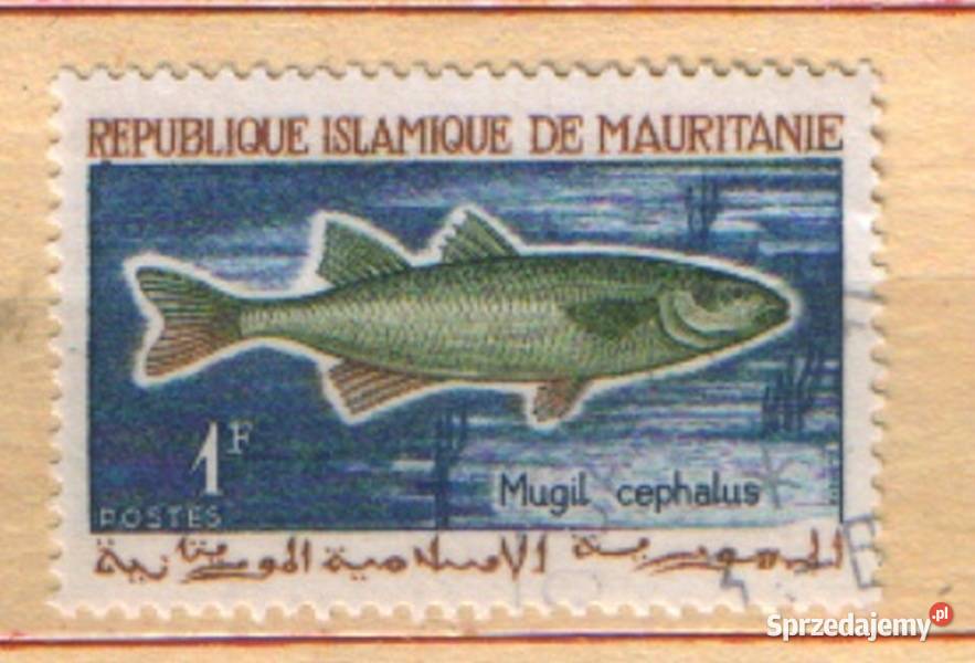 Zn R Isl de Mauretania Mi 236 1966 Gliwice
