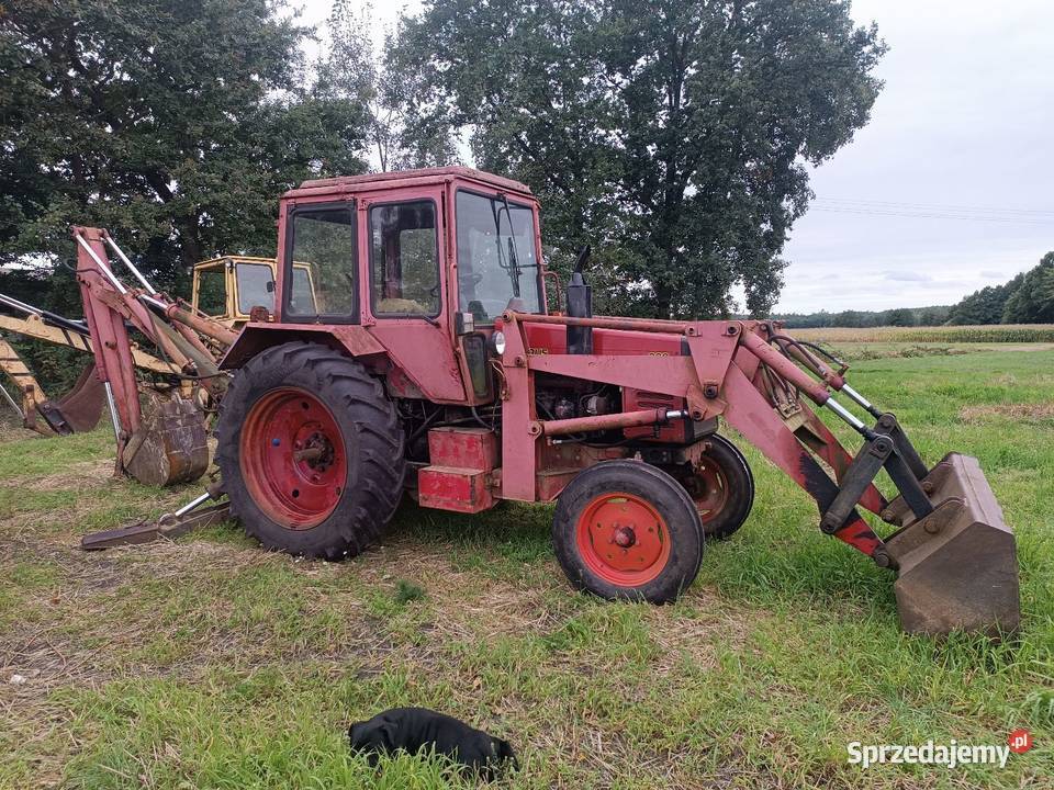 Koparka spycharka borex MTZ Białoruś nie jumz Szczytniki sprzedam