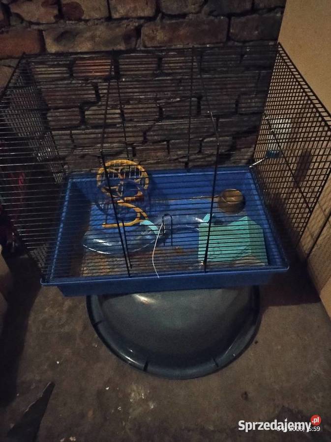 Klatka gryzoni ptaszków śląskie Częstochowa